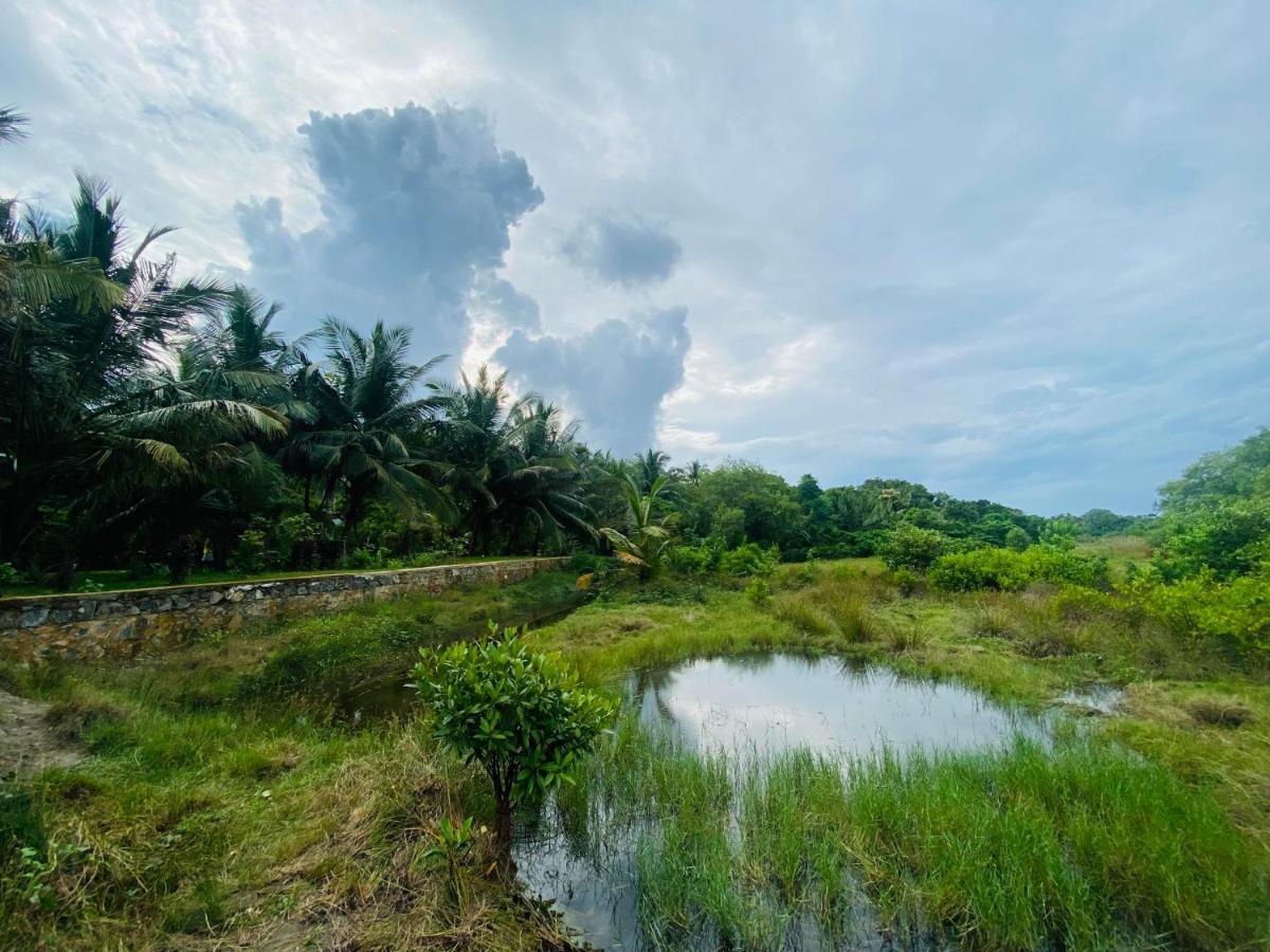 Hidden Garden Tangalle Exterior photo