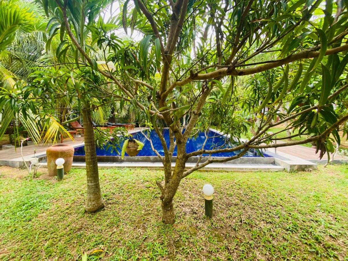 Hidden Garden Tangalle Exterior photo