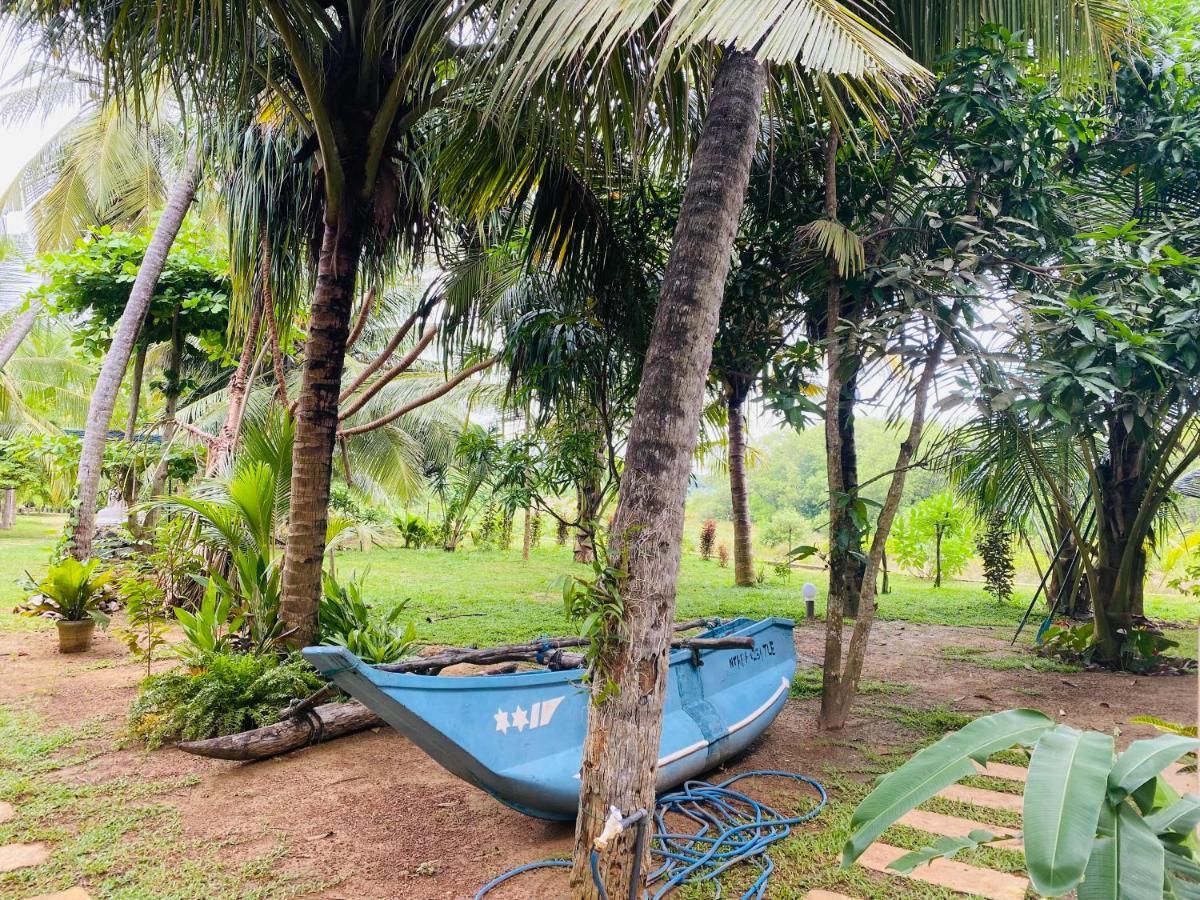 Hidden Garden Tangalle Exterior photo